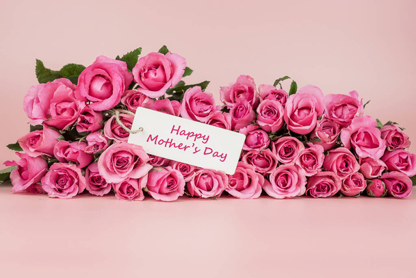 Ροζ τριαντάφυλλο λουλούδι σε ροζ φόντο με αντίγραφο χώρο για κείμενο. Λο - Φωτογραφία, εικόνα