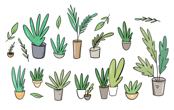 Grote verzameling. Groene planten in huis potten. Vector illustratie in cartoon stijl. - Vector, afbeelding