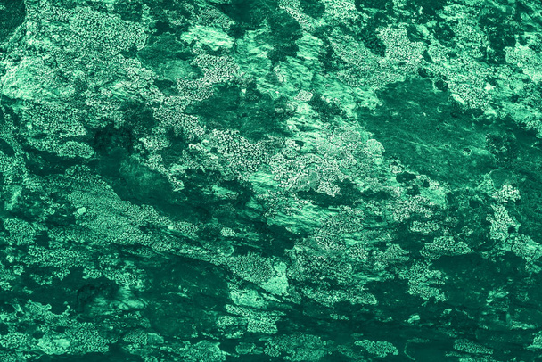 Vintage zöld háttér. Durván festett smaragd színű fal. Szűz színű, tökéletlen sík. Egyenetlen régi dekoratív tónusú háttér zöld árnyalat.  - Fotó, kép