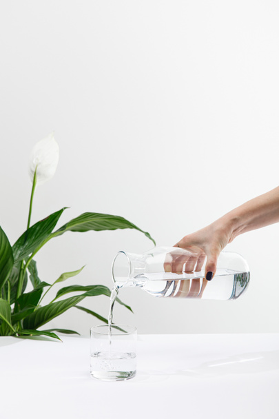 cropped view of woman pouring water from bottle in glass near green peace lily plant on white surface - Foto, Imagen