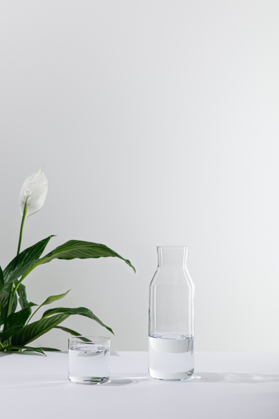 glass and bottle of fresh water near green peace lily plant on white surface - Foto, immagini