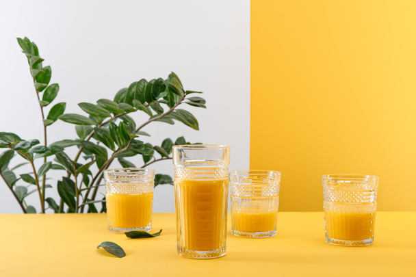 glasses of fresh delicious yellow smoothie near green plant - Фото, изображение