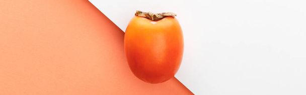 白とオレンジの背景に柿のトップビュー、パノラマショット - 写真・画像