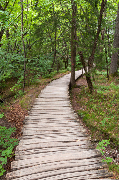 Wooden footpath - Photo, Image
