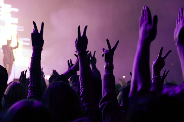 πλήθος ζητωκραυγάζει και χέρια αυξάνεται σε μια ζωντανή μουσική συναυλία - Φωτογραφία, εικόνα