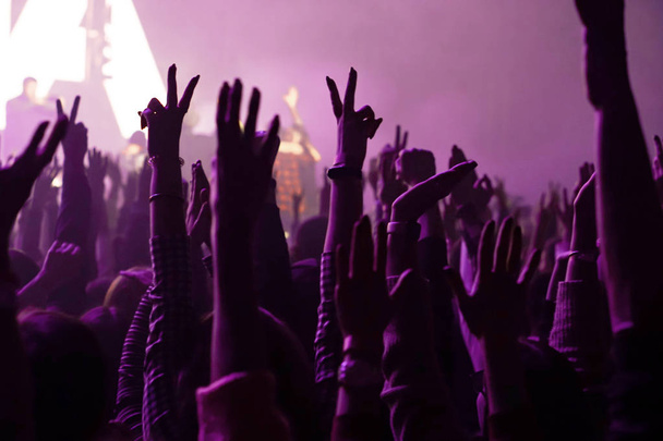 jásot davu a ruce na koncertě živá hudba - Fotografie, Obrázek