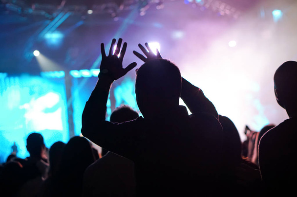 Jubel der Menge und erhobene Hände bei Live-Musik-Konzert - Foto, Bild