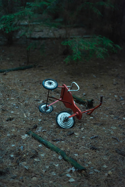 Triciclo abandonado en bosque de abeto oscuro
. - Foto, Imagen