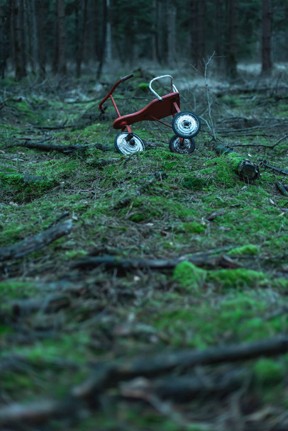 Verlaten driewieler op mossige grond in dennenbos. - Foto, afbeelding