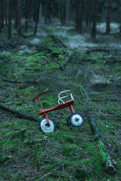 Verlaten driewieler op mossige grond in dennenbos. - Foto, afbeelding