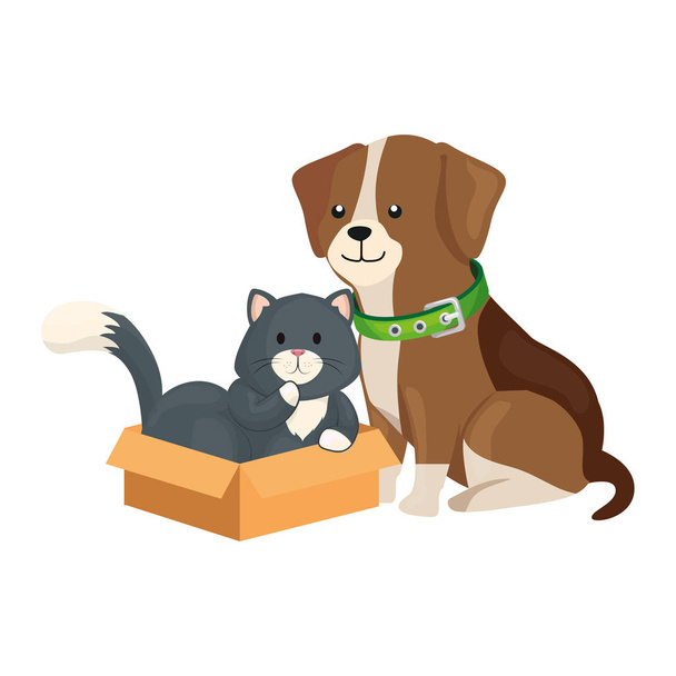 lindo perro con gato en caja de cartón
 - Vector, imagen