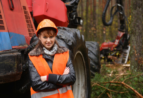 bosbouw werknemer - Foto, afbeelding