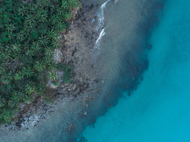 Aerial shot of a sea near the shore covered in palm trees - great for a background - Photo, image