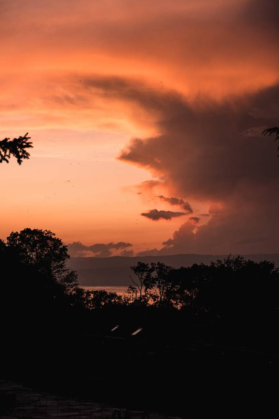 Breathtaking shot of an orange sunset with silhouettes of trees - Foto, immagini