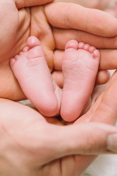 Los pies de un bebé recién nacido en manos de los padres. Feliz momento y concepto familiar
. - Foto, Imagen