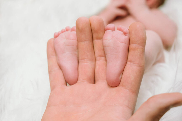 Feet of a newborn baby in the hands of parents. Happy family moment and concept. - Photo, Image