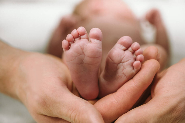 Feet of a newborn baby in the hands of parents. Happy family moment and concept. - Photo, image