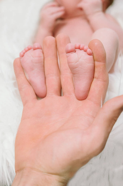 Πόδια νεογέννητου μωρού στα χέρια των γονιών. Χαρούμενη οικογενειακή στιγμή και έννοια. - Φωτογραφία, εικόνα