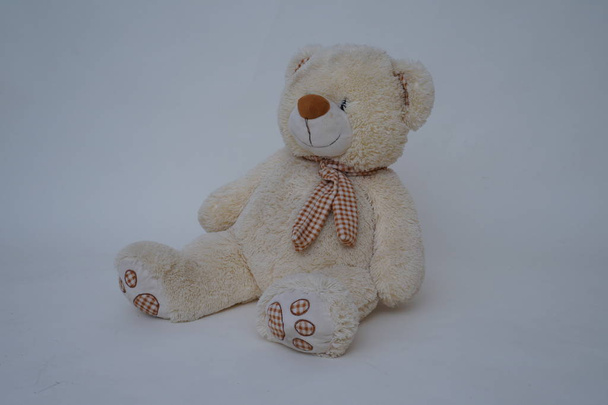 Bear soft toy - Fotografie, Obrázek