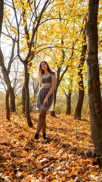young beautiful woman walking in the park in autumn - Фото, изображение