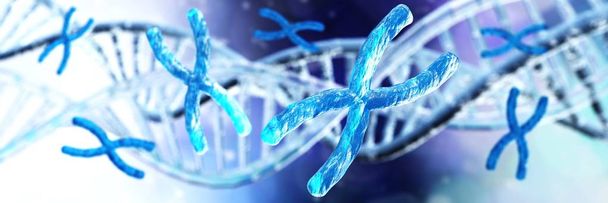 Cromosoma X sullo sfondo del DNA. Cromosomi e DNA
 - Foto, immagini