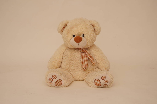 Bear soft toy - Photo, Image