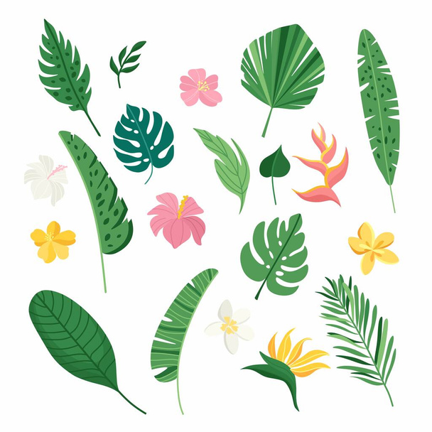 Tropical leaves and flowers collection. Vector summer illustration. Greenery, palm leaves, banana leaf - Wektor, obraz