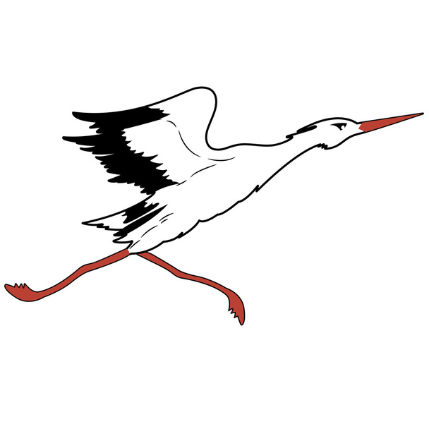 Cigüeña Blanca en vuelo. ilustración vectorial
. - Vector, Imagen
