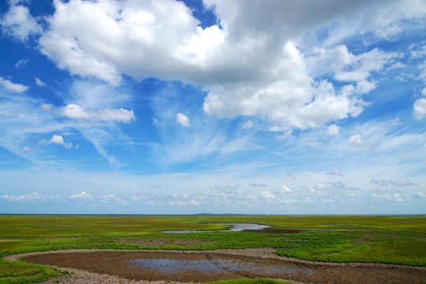 wolken in de blauwe hemel over groene weide op wildlife heiligdommen - Foto, afbeelding