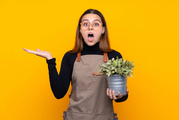 Jeune fille jardinière tenant une plante sur fond jaune isolé avec expression faciale surprise
 - Photo, image