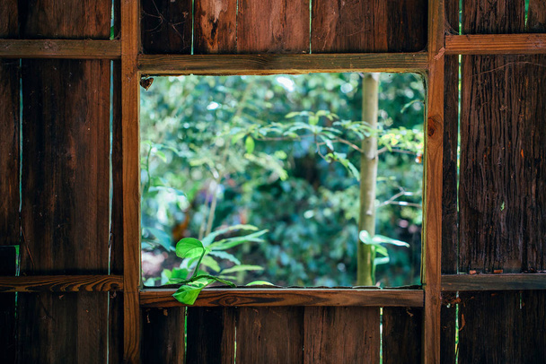 Прекрасний вид на літо зі старого сільського дерев'яного вікна
 - Фото, зображення