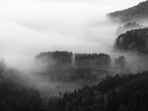 Automne vallée brumeuse tôt le matin au lever du soleil. Le brouillard se déplace entre les collines et les cimes des arbres a fait avec les rayons du soleil reflets doux. Magnifique matinée d'automne en Suisse bohème
. - Photo, image