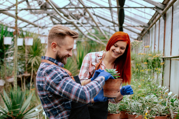 glücklich und charismatisch zwei Gärtner lächeln groß, während sie alle Pflanzen prüfen und ein paar Notizen auf der Karte in einem großen Blumengewächshaus machen - Foto, Bild