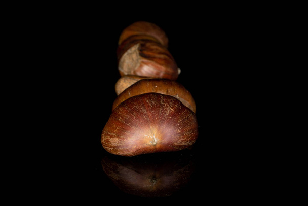 Brown edible chestnut isolated on black glass - Foto, afbeelding