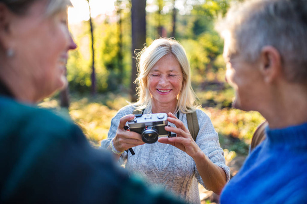 Senior women friends walking outdoors in forest, taking photos with camera. - Fotoğraf, Görsel