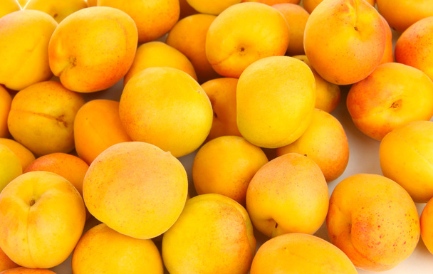 Fresh natural apricot close up - Foto, afbeelding