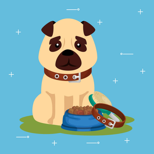 cute dog with dish food and collar - Vector, Image