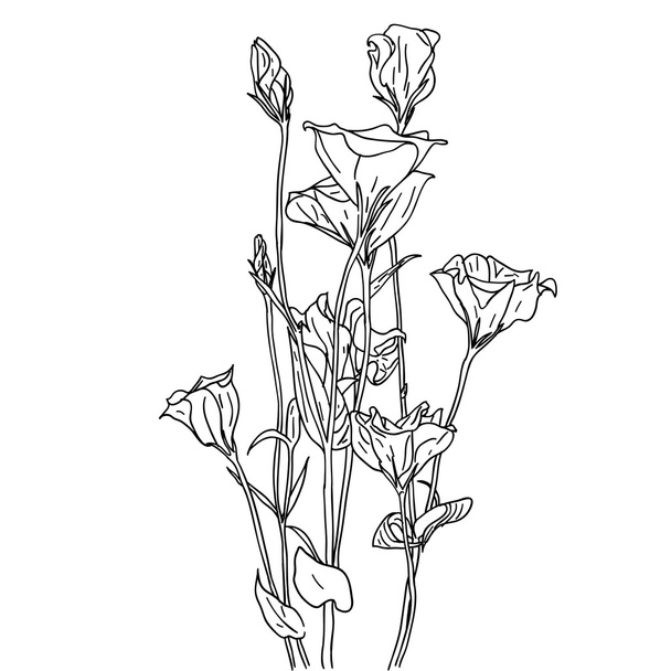花のデザイン要素と手描きベクトルイラスト - ベクター画像