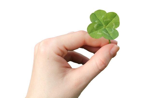 Hand with a four-leaf clover isolated - Photo, Image