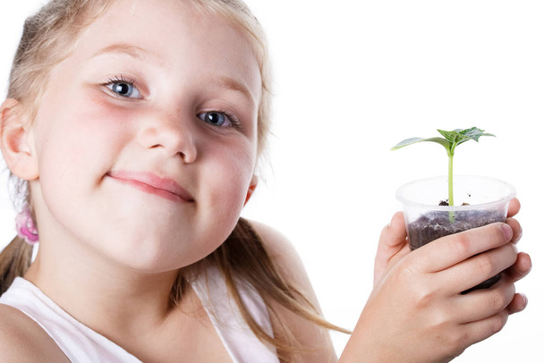 kislány kezében egy pohár egy kis növény - Fotó, kép