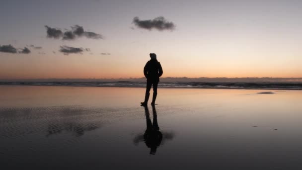 Kobieta stojąca na refleksyjnej, piaszczystej plaży o zachodzie słońca cieszy się widokiem na Long Beach w Waszyngtonie. - Materiał filmowy, wideo