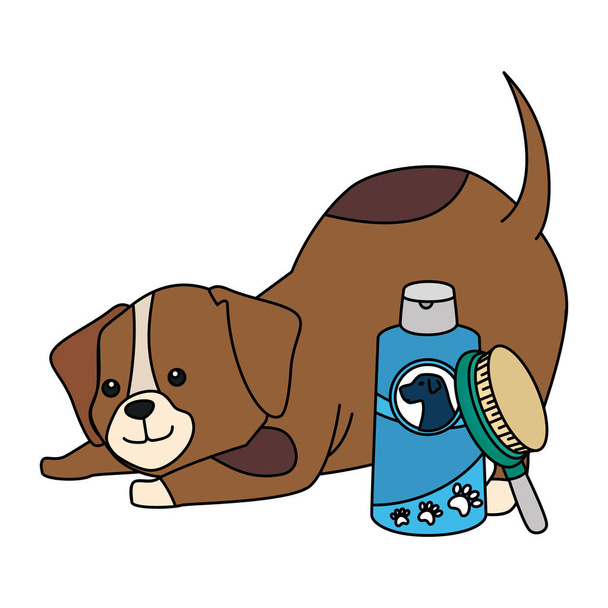 lindo perro con botella para el cuidado y cepillo
 - Vector, imagen