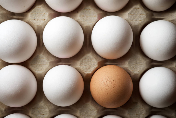 Chicken eggs view - Foto, Imagen