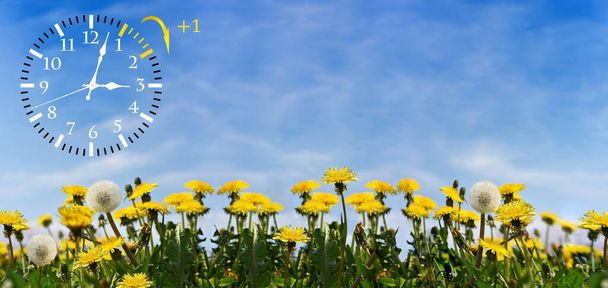 Летнее время (летнее и зимнее время). Голубое небо с желтыми одуванчиками. Turn time forward (+ 1h
). - Фото, изображение