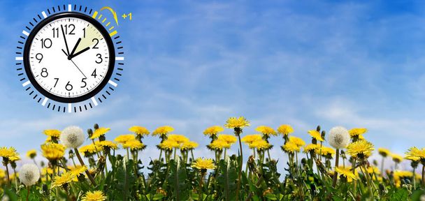 Summer Daylight Saving Time (DST). Blue sky with yellow dandelions. Turn time forward (+1h). - Photo, Image