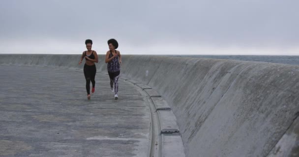 Front view of two mixed race women enjoying free time by the seaside, running towards the camera, in slow motion - Metraje, vídeo