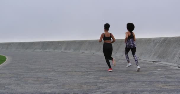 Rear view of two mixed race women enjoying free time by the seaside, running side by side, in slow motion - Кадри, відео