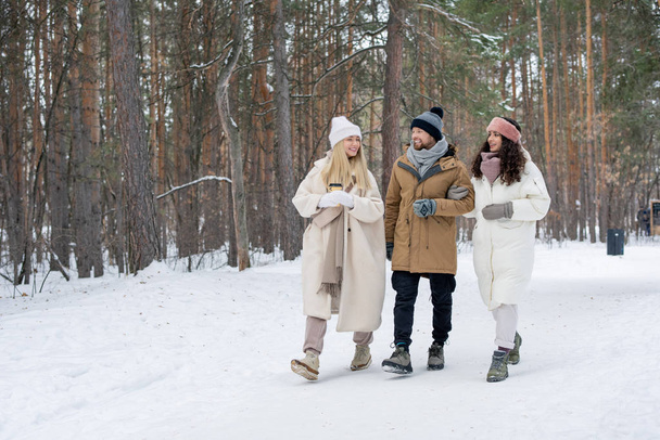 Szczęśliwi młodzi przyjaciele w luźnej zimie rozmawiają podczas spaceru po lesie lub parku w mroźny zimowy dzień - Zdjęcie, obraz