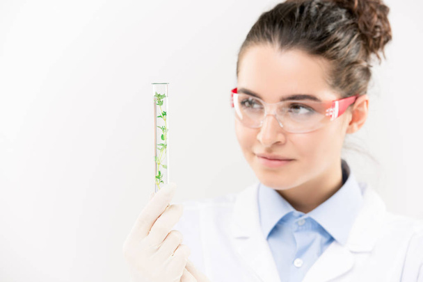 Jolie jeune biologiste en lunettes gants nad regardant la fiole avec une longue plante verte à l'intérieur tout en travaillant en laboratoire
 - Photo, image