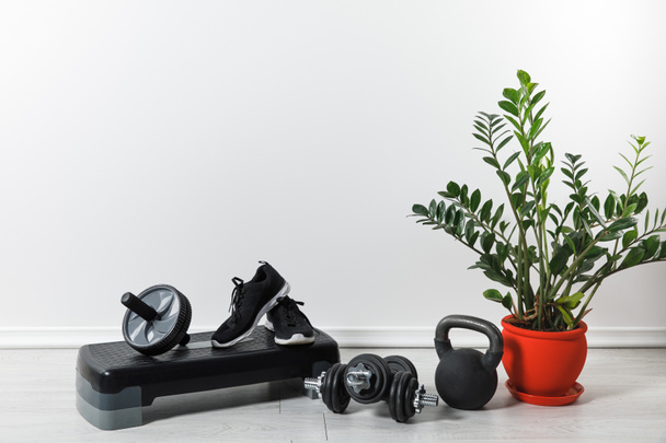 sport equipment and sneakers at home with houseplant - Foto, imagen